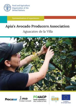 Artículo FAO: Asociatividad y Extensión Rural